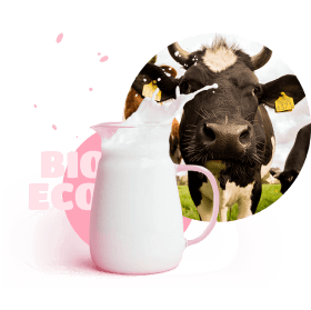 Krowa / dzbanek mleka / Bio eco